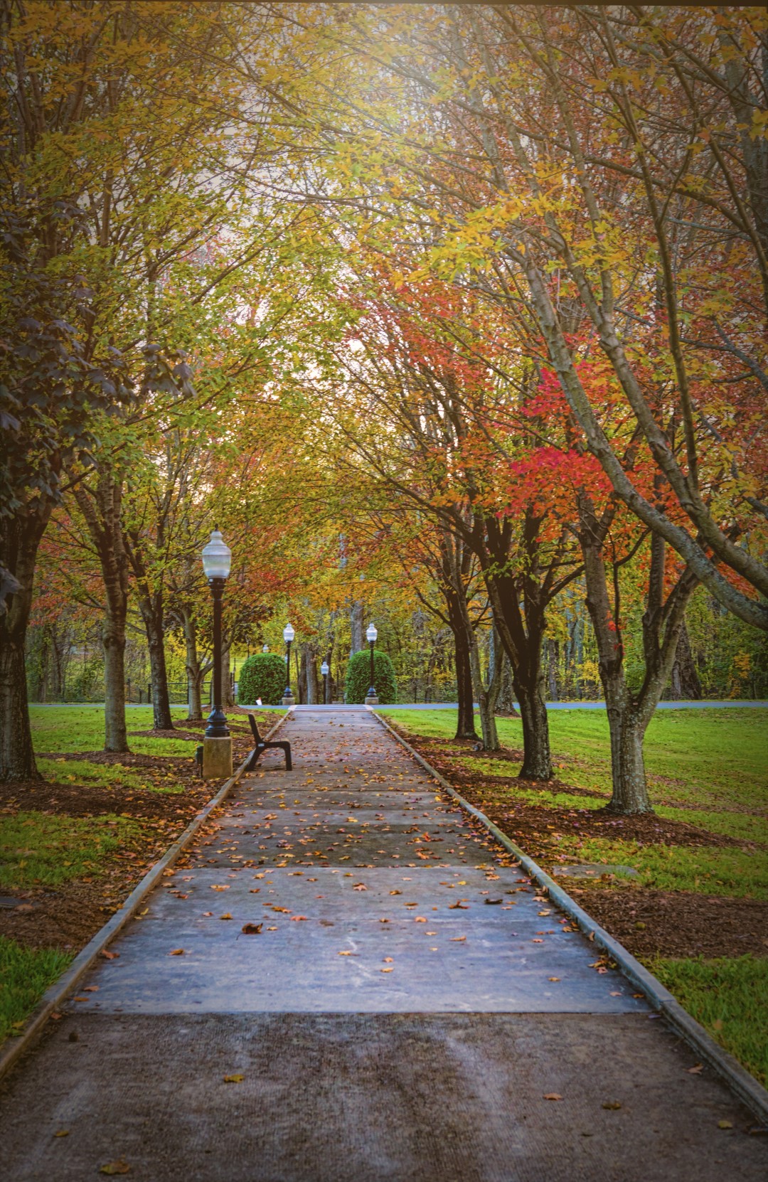 A lonely sidewalk during the fall at the National Fire Academy in Emmitsburg Maryland